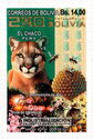 Chaco Region : Puma (Puma concolor)