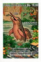 Amazon Region : Bolivian River Dolphin (Inia boliviensis)