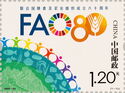Food and Agriculture Organization, 80 Years