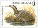 Great Bittern (Botaurus stellaris)