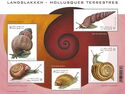 Land Molluscs