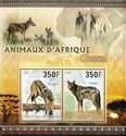African Animals - Jackals