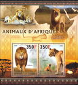 African Animals - Lions