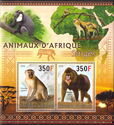 African Animals - Monkeys