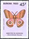 Moth (Gonimbrasia hecate)