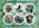 Birds Nests of Bangladesh