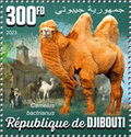 Bactrian camel (Camelus bactrianus)