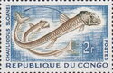 Sloane's Viperfish (Chauliodus sloani)