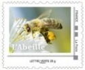 Honey Bee (Apis Mellifera)