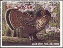 Ruffed grouse (Bonasa umbellus)