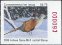 Ring-necked pheasant (Phasianus colchicus)