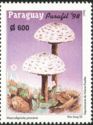 Macrolepiota procera