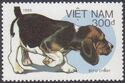 Basset (Canis lupus familiaris)