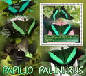 Butterflies - Papilio palinurus