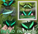 Butterflies - Papilio palinurus