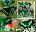 Butterflies - Papilio palinurus