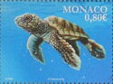 Loggerhead sea Turtle (Caretta caretta), young at sea