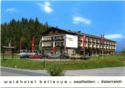 waldhotel bellevue - saalfelden - österreich