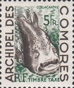 West Indian Ocean Coelacanth (Latimeria chalumnae)