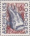 West Indian Ocean Coelacanth (Latimeria chalumnae)