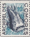 West Indian Ocean Coelacanth (Latimeria chalumnae)