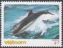 Common Dolphin (Delphinus delphis)