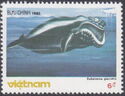North Atlantic Right Whale (Eubalaena glacialis)
