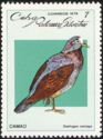 Grey-headed Quail-dove (Geotrygon caniceps)