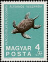 Fossilized Turtle (Placochelys placodonta) from Veszprém