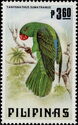 Blue-backed Parrot (Tanygnathus sumatranus)