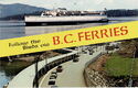 Follow the Birds via B.C. Ferries