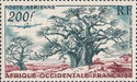 Baobab Trees