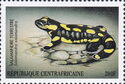 Fire Salamander (Salamandra salamandra)