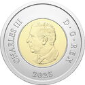 2 Dollars (Honouring Canada’s Unknown Soldier - Color)
