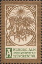 Aalborg Julen 1919