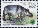 Vietnamese Javan Rhinoceros (Rhinoceros sondaicus annamiticu