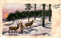 Christmas Card. Leif Ragn-Jensen