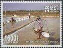 Saltmaking In Cambodia