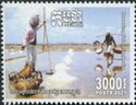 Saltmaking In Cambodia
