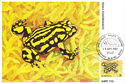 Corroboree Frog (Pseudophryne corroboree)