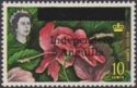 Hibiscus - Overprinted