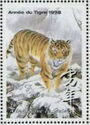 Year of the Tiger