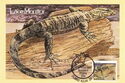 Lace Monitor (Varanus varius)