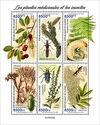 Medical Plants and Insects