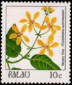 Woody Vine (Tristellateia australasiae)