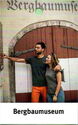 Bergbaumuseum