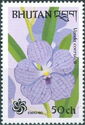 Vanda coerulea