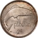 1 Florin (Flóirín, Two Shillings) - Silver