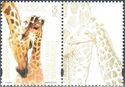 Giraffe - Label 3 Right