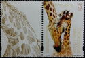 Giraffe - Label 2 Left
